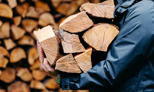 Man carrying firewood