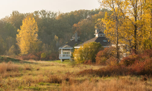 Cabins from the woods