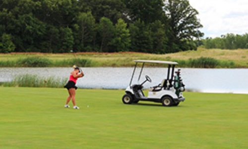 People playing golf