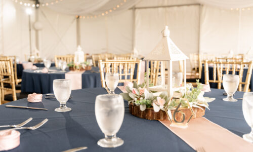 Tent is used for a wedding reception at Maumee Bay