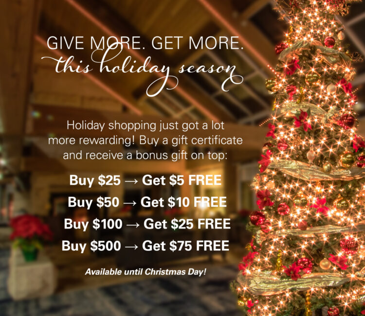 A holiday image with text at the top that says, "Give More. Get More. This holiday season." It then goes on to describe the bonuses. 