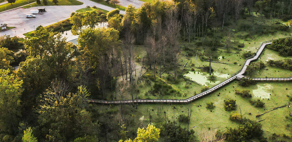 Hiking path through the woods