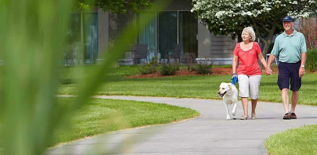 People waling a dog