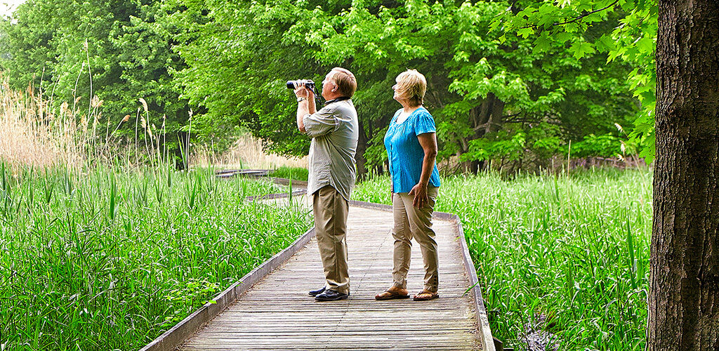 Couple watching for birds