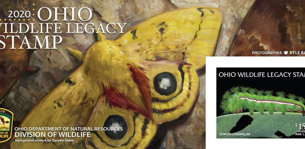 Wildlife legacy stamp